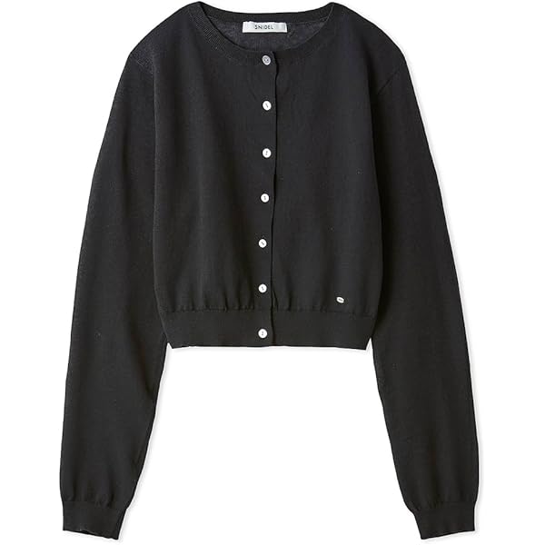 【新品】SNIDEL ラッフル刺繍ニットプルオーバー BLK フリー SNIDEL（スナイデル）の「ラッフル刺繍ニットプルオーバー（ニット